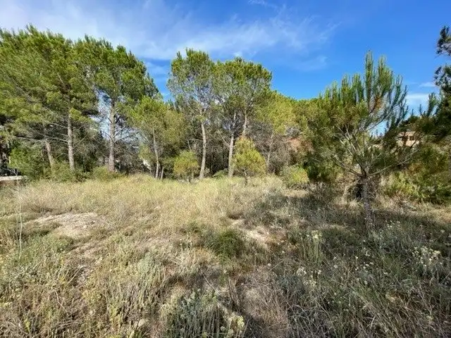 Lands and plots for sale in La Pobla de Claramunt, imagen 2