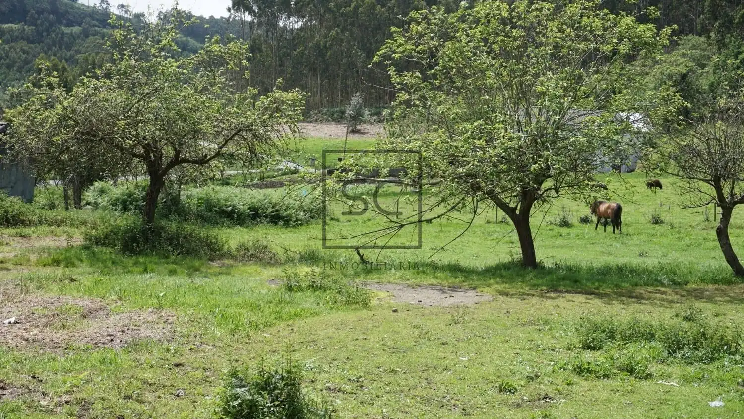 Finca rústica en venda en Ferrol amb Jardí privat