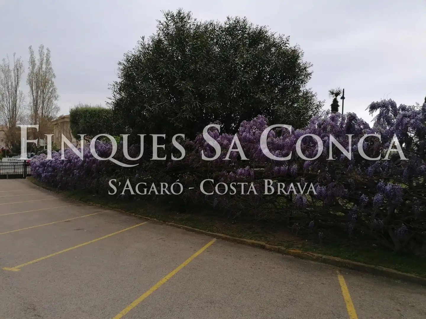 Apartament en venda en Castell d'Aro, Platja d'Aro i s'Agaró amb Calefacció i Terrassa