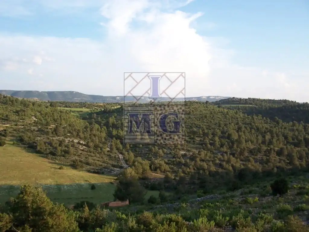 Finca rústica en venta en Yeste