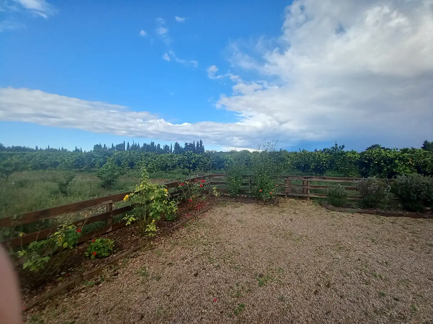 Casa amb jardí en venda a Partidas de interior - Zona Rústica, imagen 11