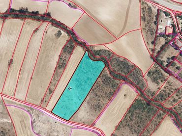 Rural land for sale in El Vellón