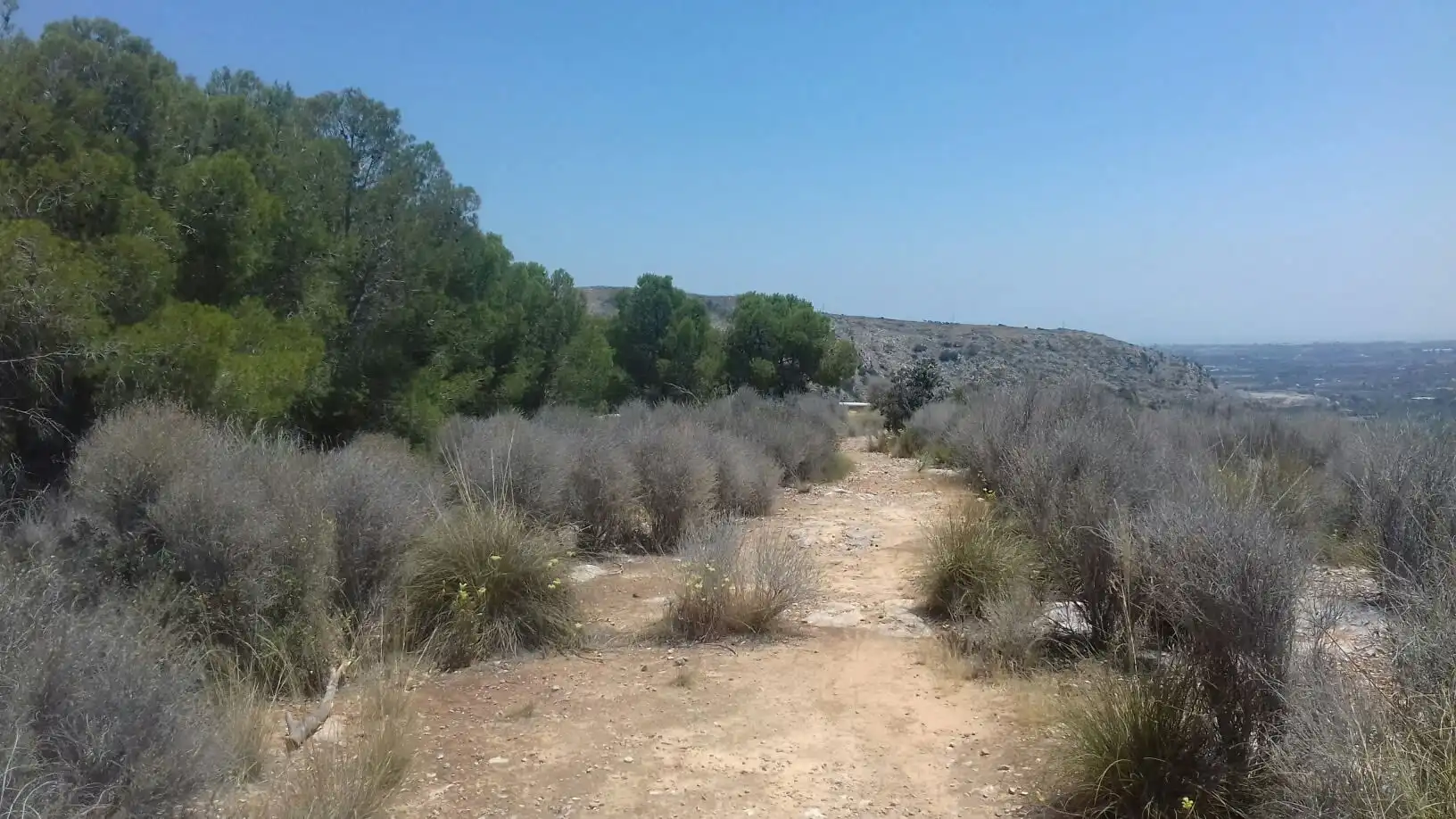 Terrain rustique à vendre à C/ Manuel Siurut, imagen 6