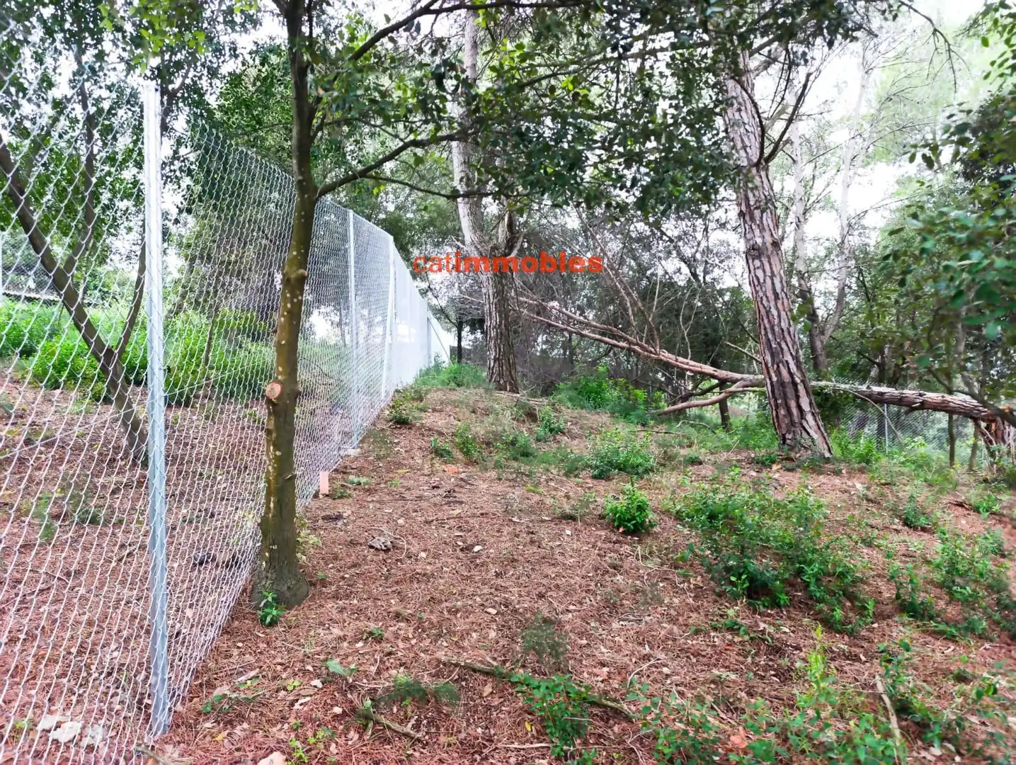 Terreny residencial en venda a Rosa Mariné, imagen 24