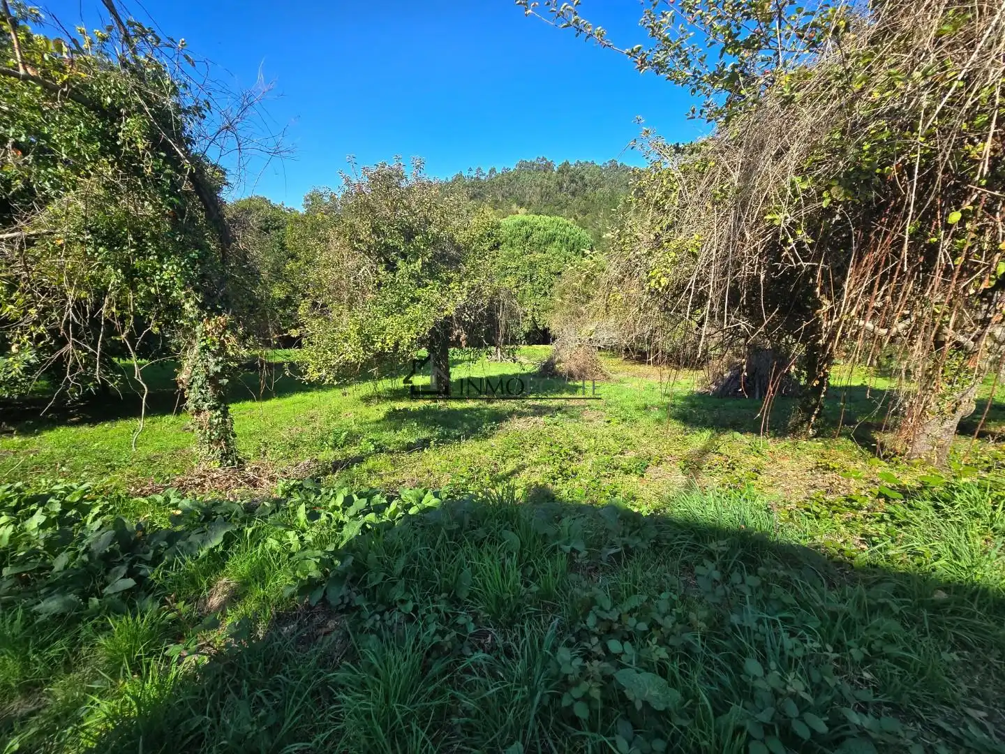Casa o xalet en venda en Cerdedo amb Jardí privat
