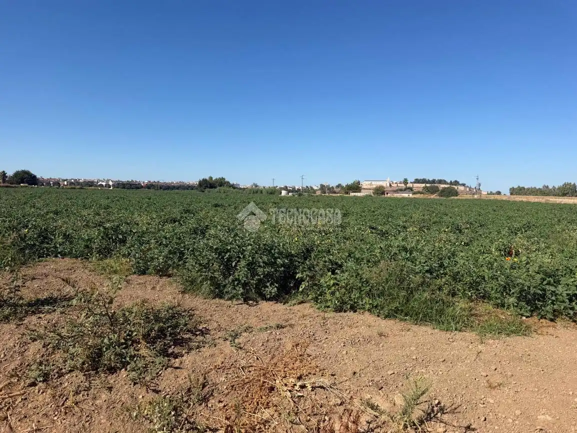 Casa rústica en venda a San Roque - Ronda Norte, imagen 28