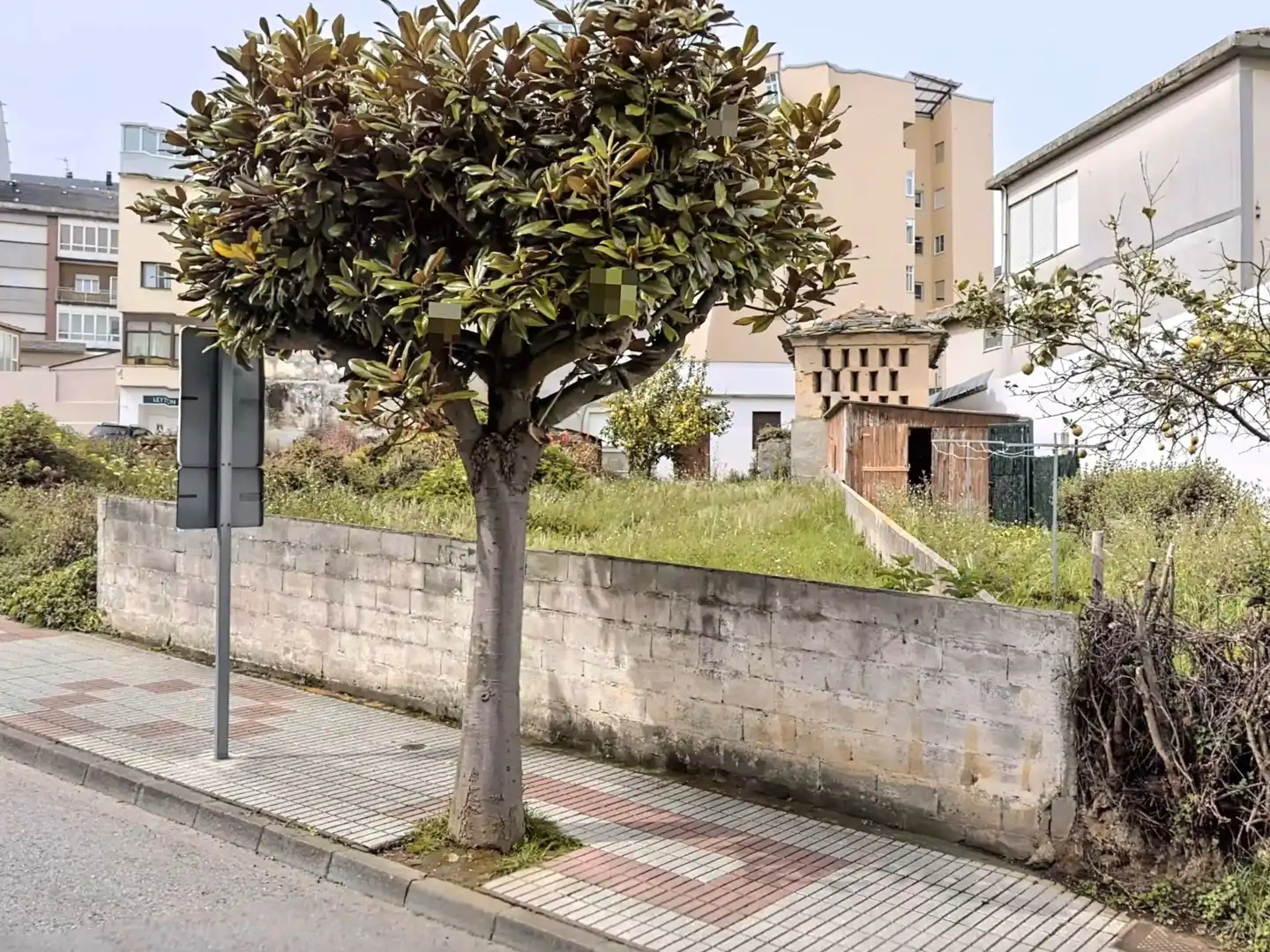 Terreni e lotti in vendita a Valle Inclán, imagen 5