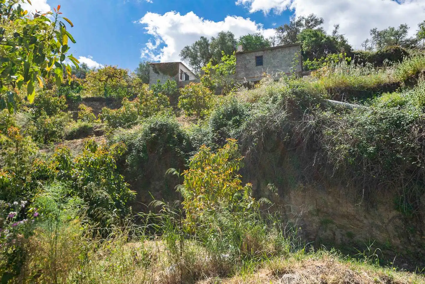 Finca rústica en venta en Cómpeta con Jardín privado y Terraza