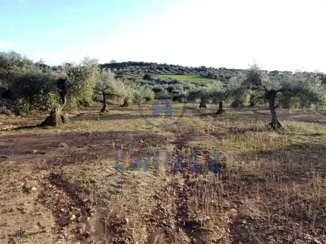 Wohnbaugrundstück zum Verkauf in La Granjuela, imagen 4