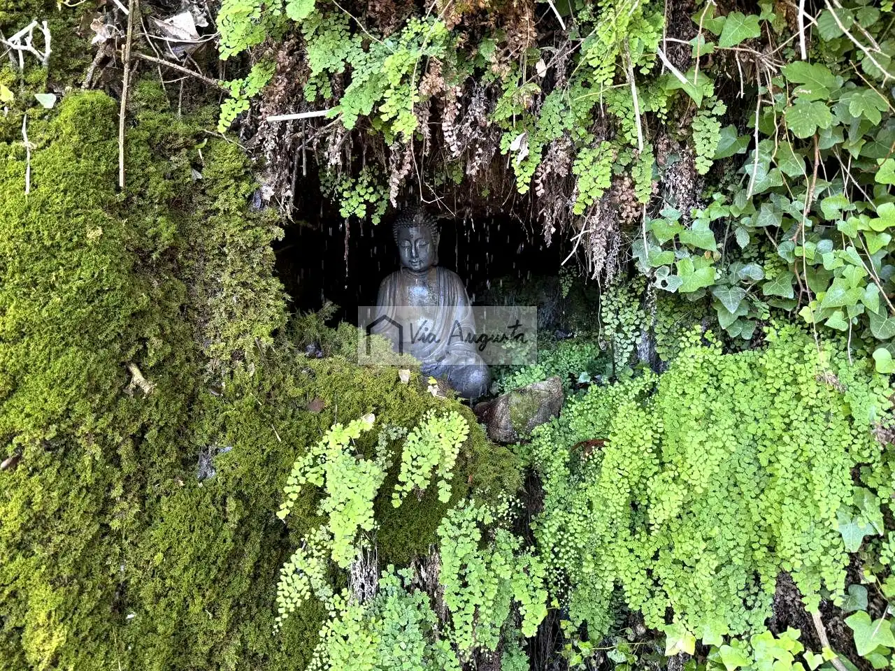 Jardí de Casa o xalet en venda en Alfara de Carles amb Jardí privat, Terrassa i Balcó