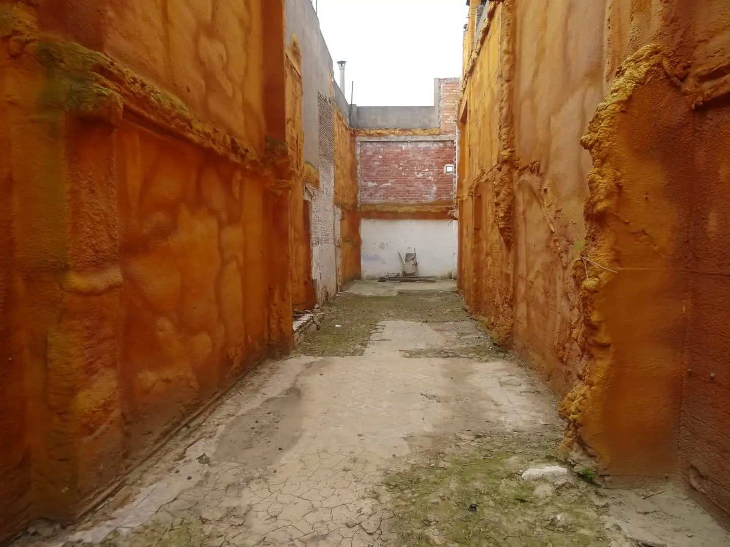 Terreno residenziale in vendita a Algemesí