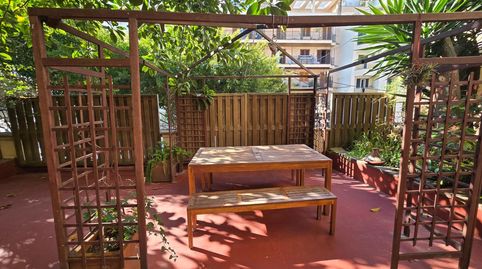 Foto 2 von Erdgeschoss zur Miete in El Terreno, Palma de Mallorca