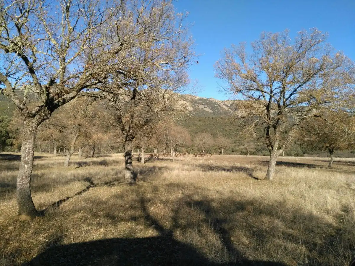 Casa rústica en venda a Área Rural-Valverde-Las Casas, imagen 6