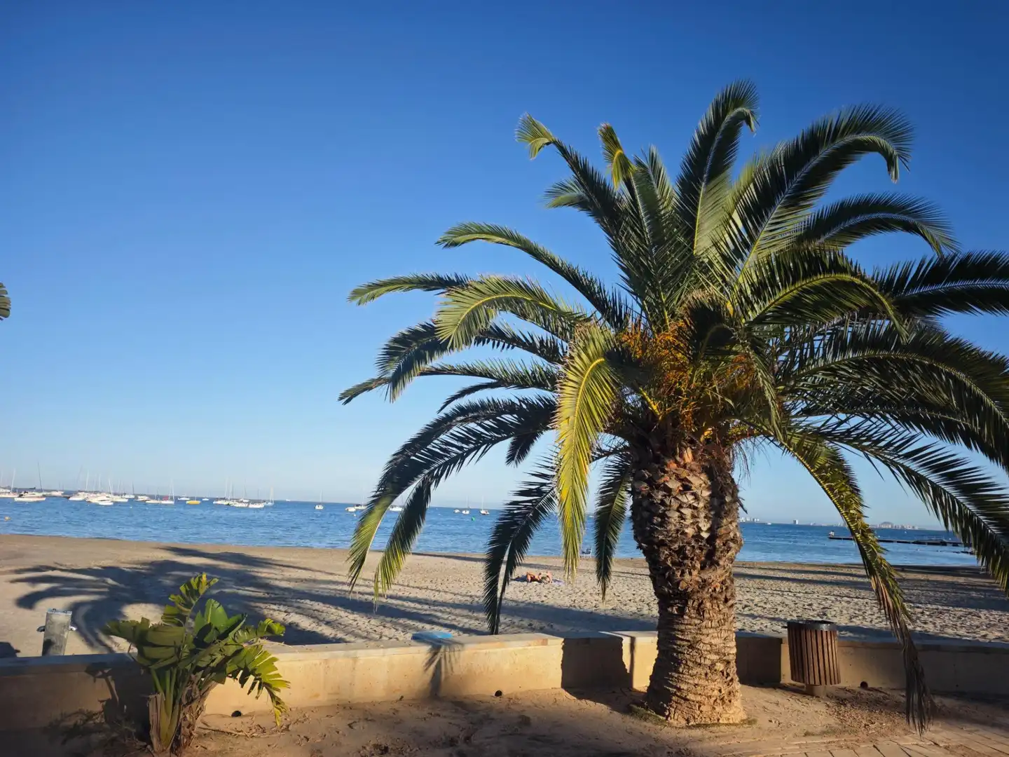 Planta baixa en venda en San Javier
