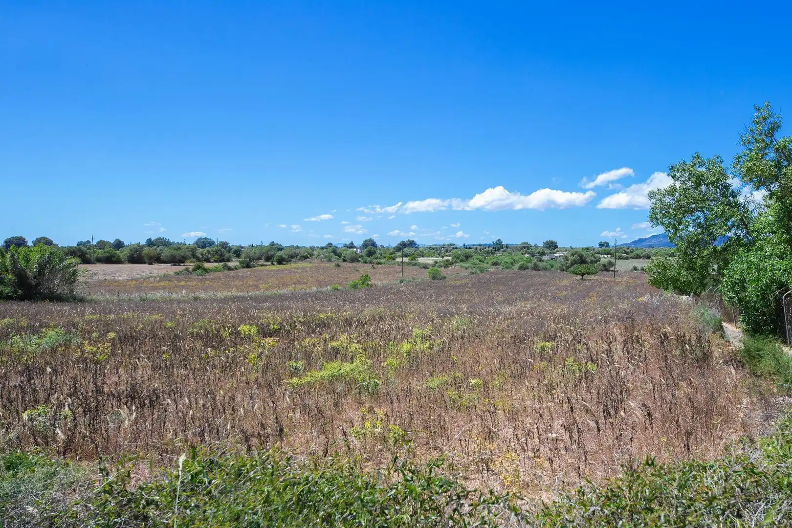 Terreno rustico in vendita a Poligono, imagen 6
