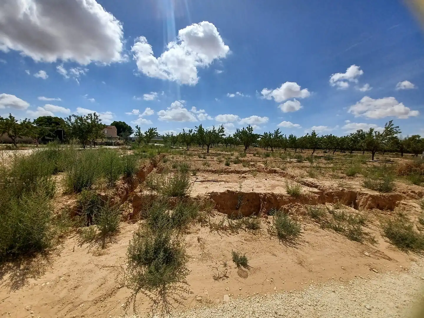 Villa à vendre à El Pinós / Pinoso, imagen 22