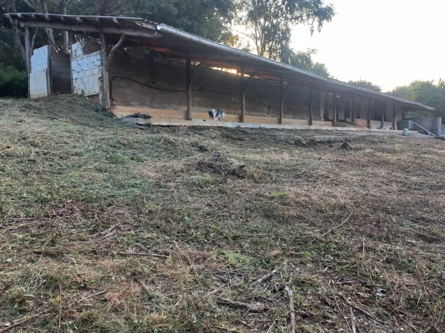 Vista exterior de Terreno en venta en Bakio