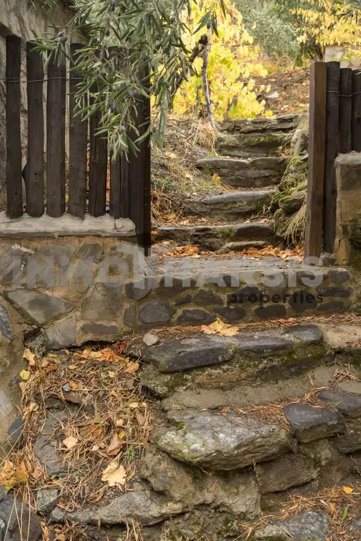 Vista exterior de Casa o xalet en venda en Abrucena amb Jardí privat, Terrassa i Moblat