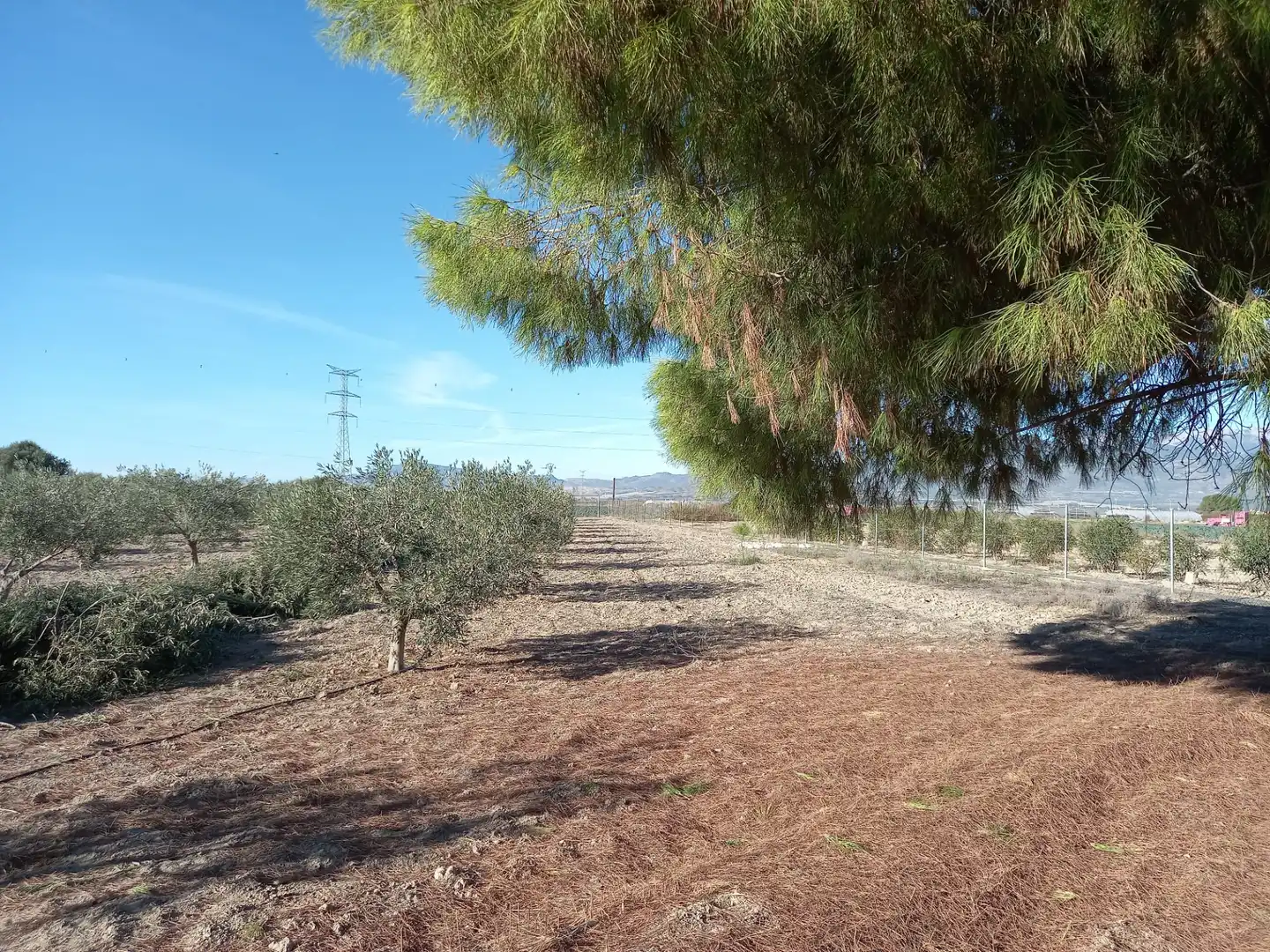 Country homes for sale in Torre-Pacheco  with Private garden, Terrace and Storage room