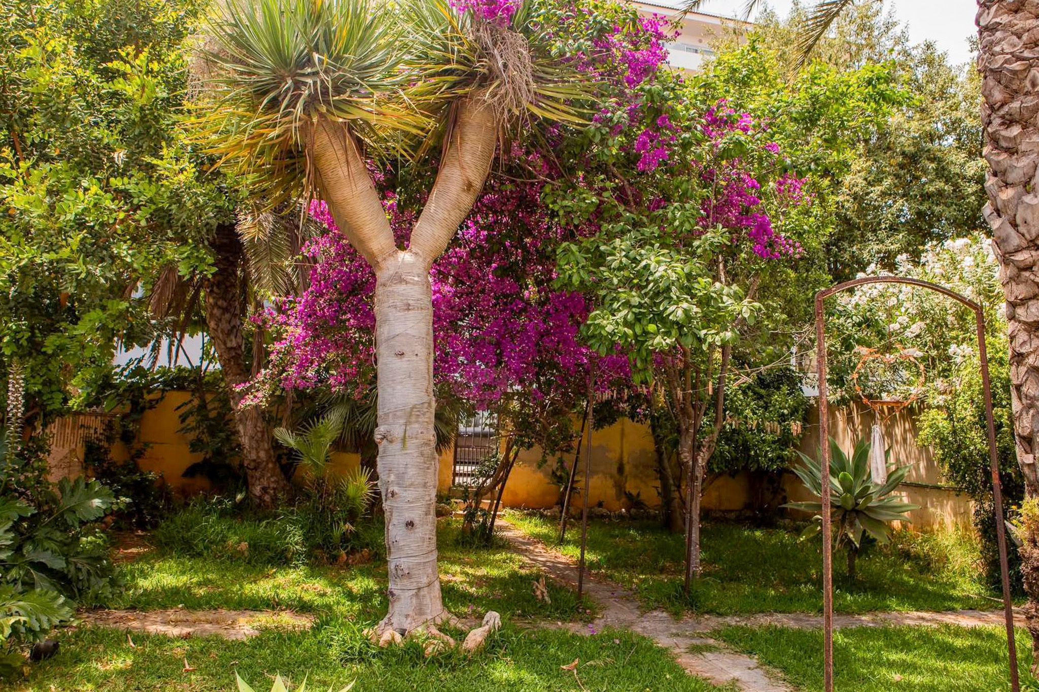 Jardí de Casa o xalet en venda en Santa Margalida amb Jardí privat