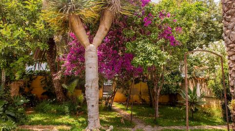 Foto 3 de Casa o chalet en venta en Can Picafort, Illes Balears