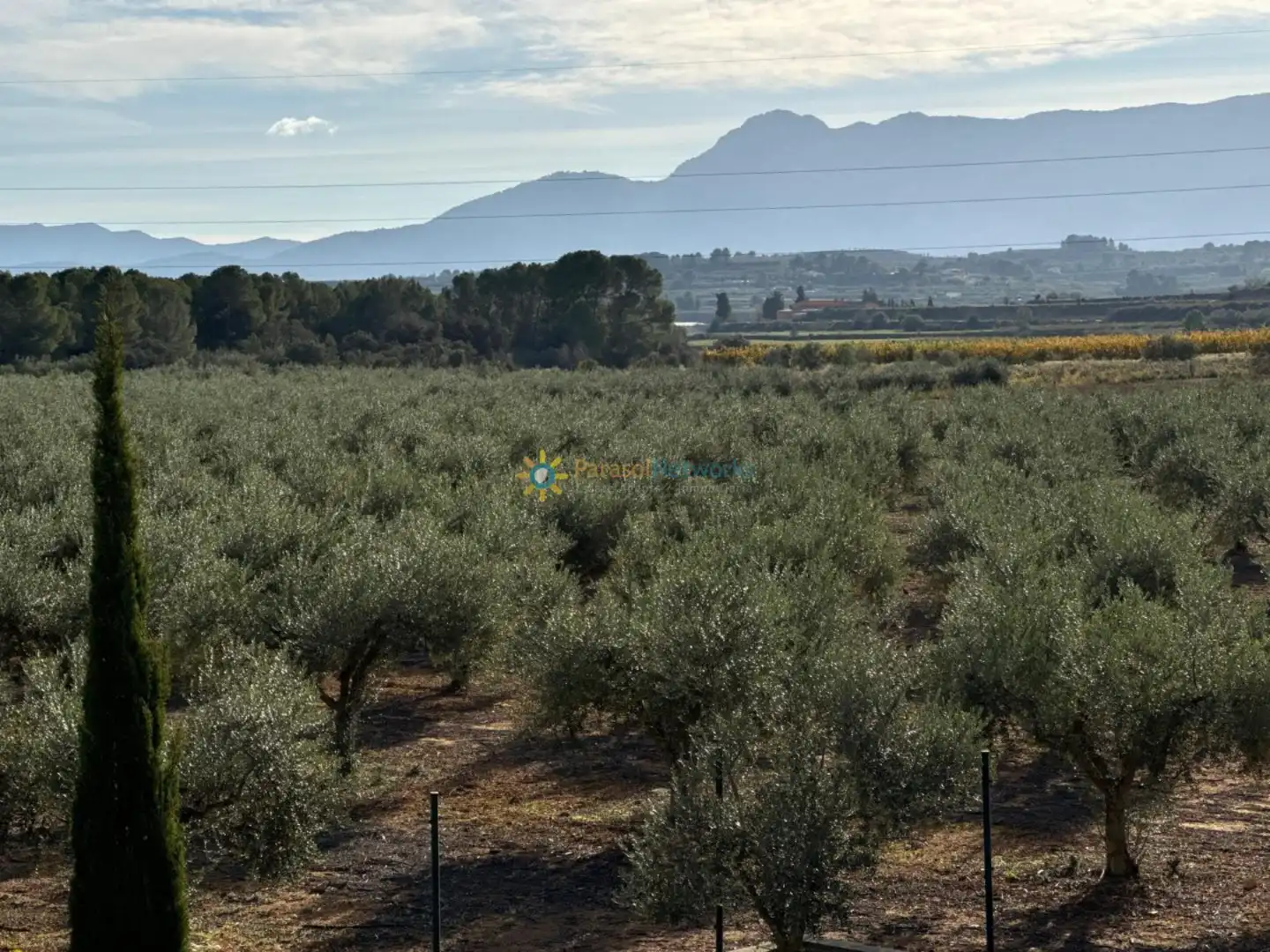 Villa avec terrasse à vendre à El Palomar, imagen 18