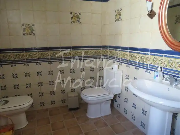 Casa rustica con piscina in vendita a Fuensanta de Martos, imagen 7