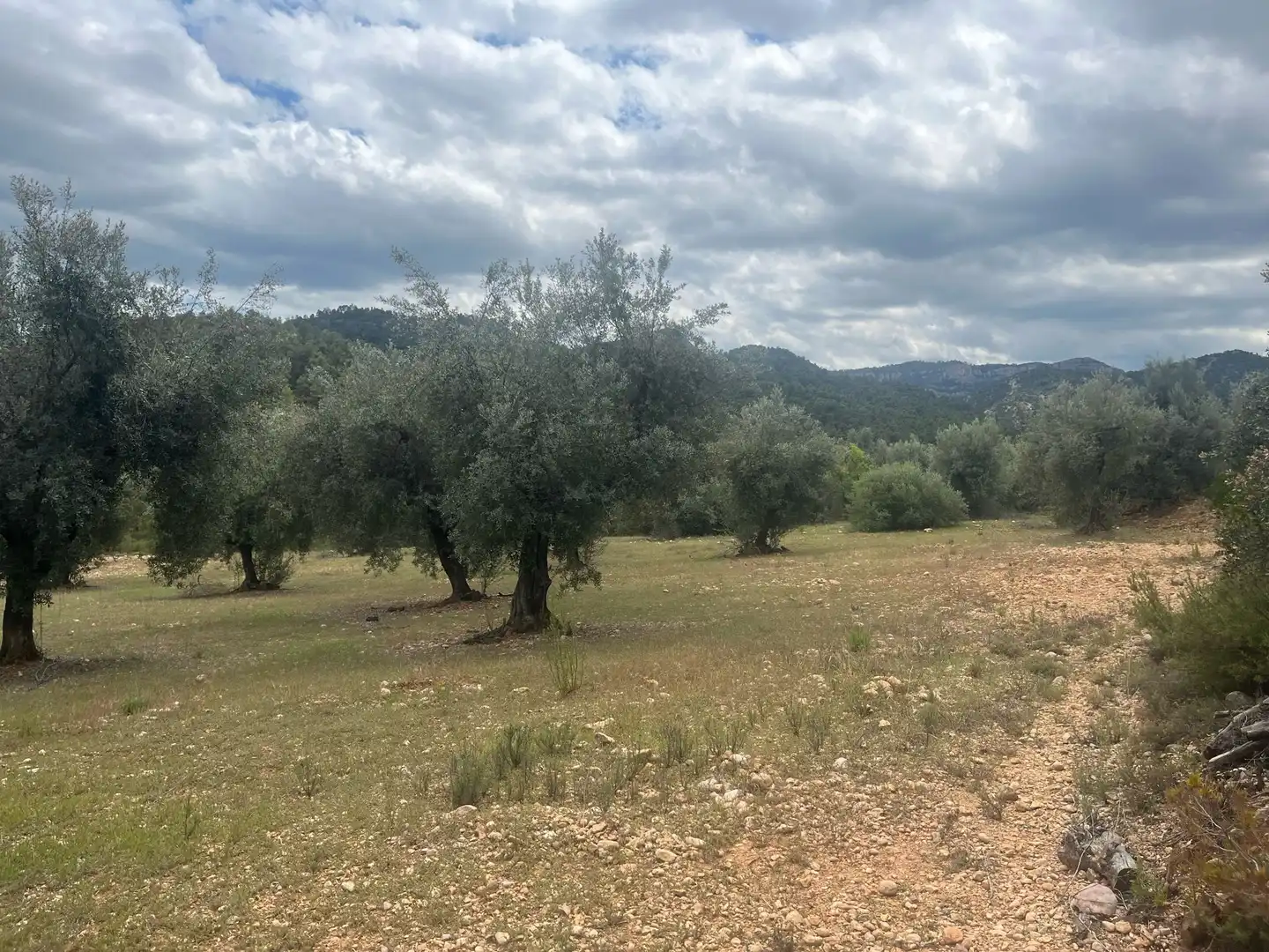Terreni e lotti in vendita a Cretas, imagen 4