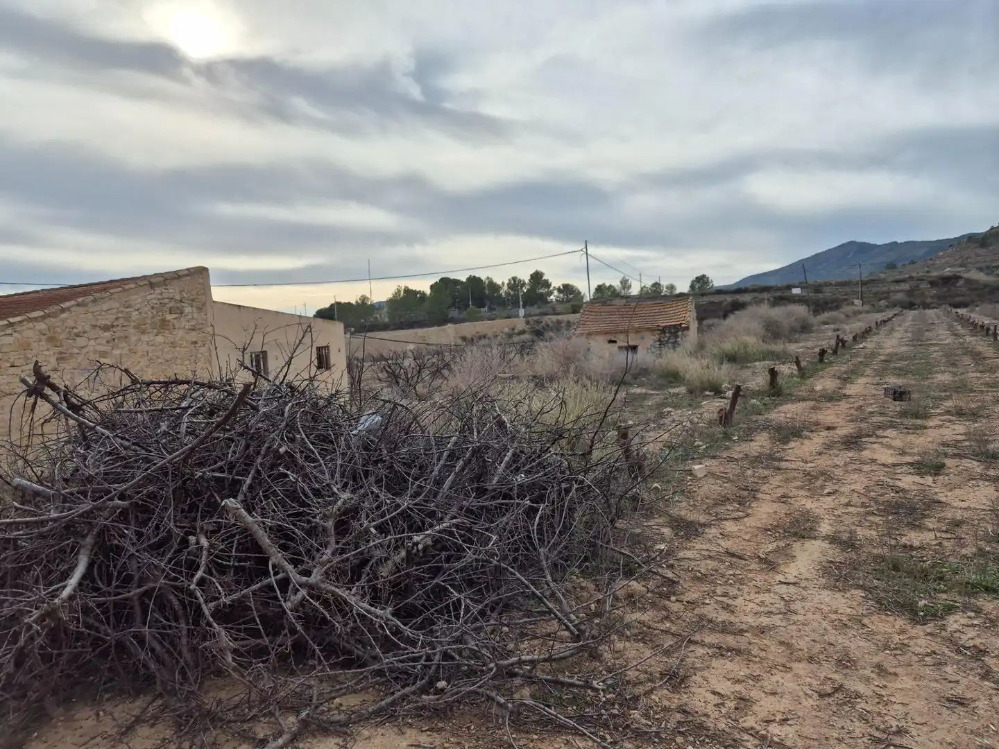 Terreny rústic en venda a Monóvar  / Monòver, imagen 17