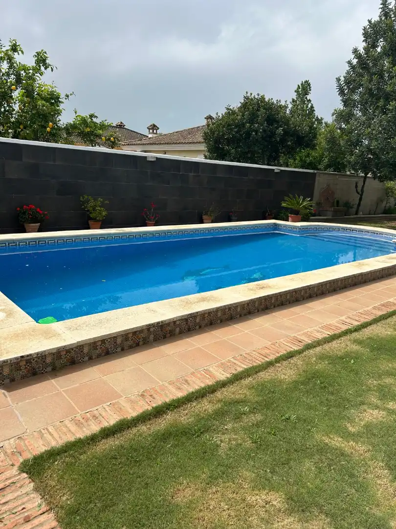 Chalet con piscina en venta en Arcos de la Frontera, imagen 7