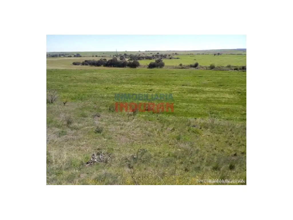 Country homes for sale in Alcolea de Tajo