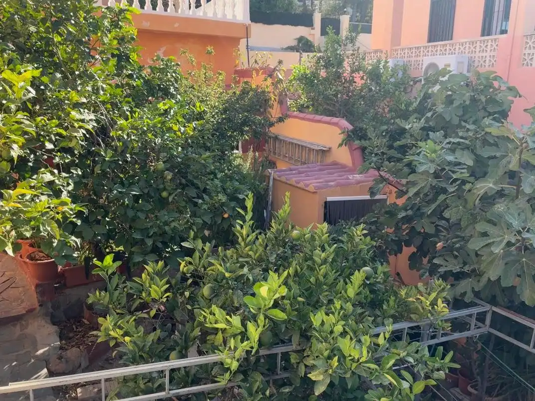 Villa avec piscine à vendre à Calle vall de ceta 27, imagen 5
