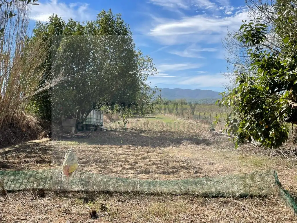 Rural land for sale in Calle Bordeta, imagen 7