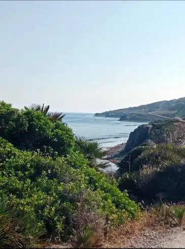 Vista exterior de Finca rústica en venda en Tarifa