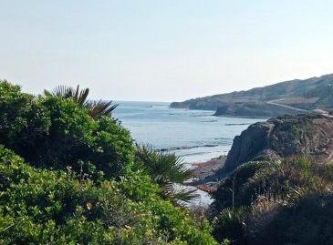 Foto 5 de Finca rústica en venda a El Cuartón - El Bujeo, Cádiz