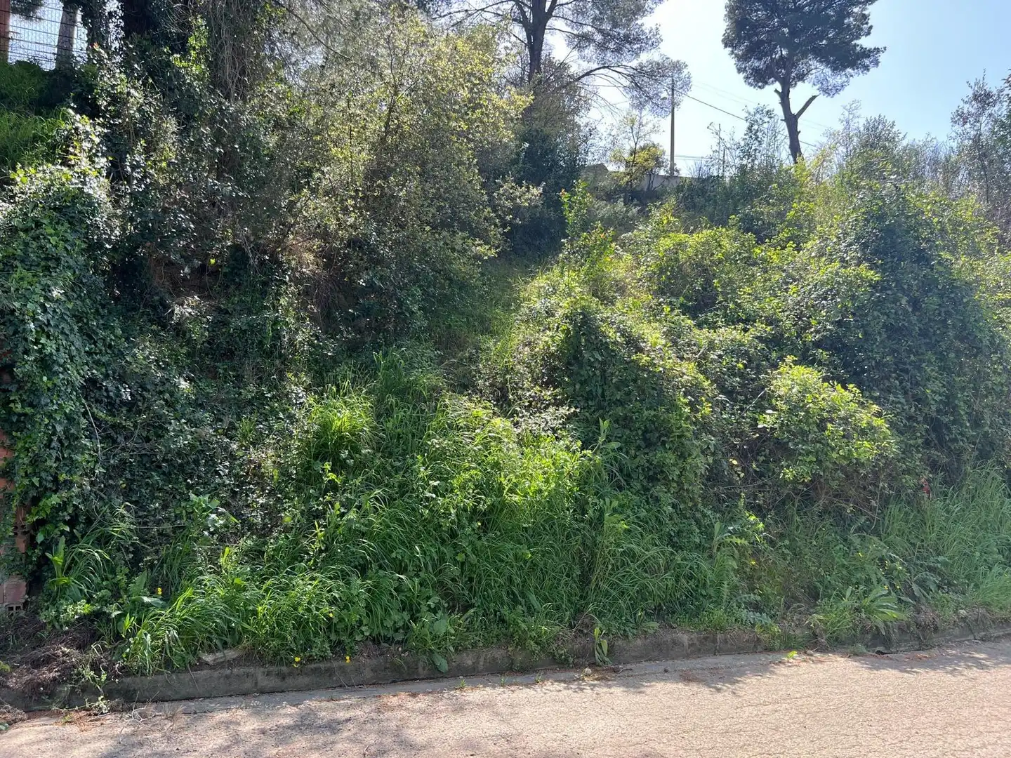 Residential land for sale in Calle BONAVISTA (C CLARAMUNT), imagen 3