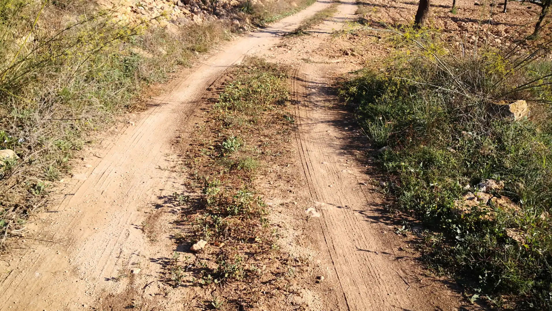 Rustikales Grundstück zum Verkauf in Pasaje Castillejos 5, imagen 3