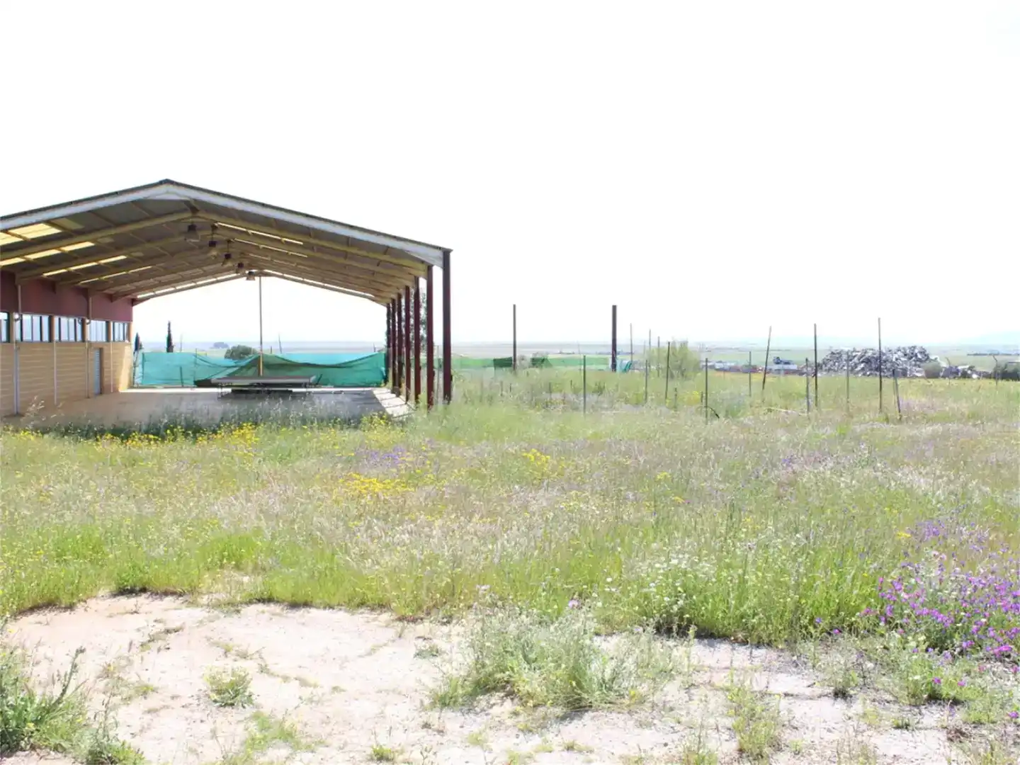 Nau industrial en venda en Cáceres