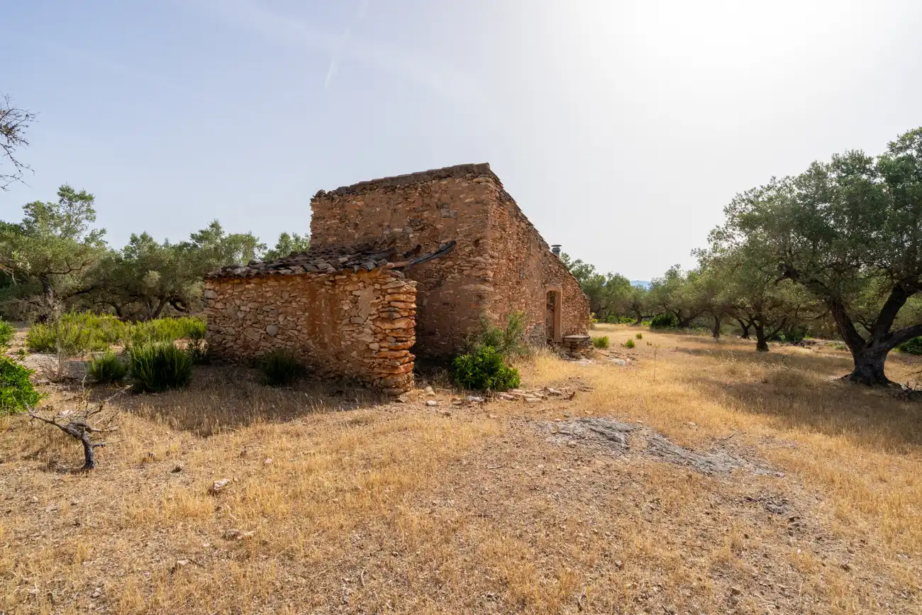 Vista exterior de Terreno en venta en El Perelló