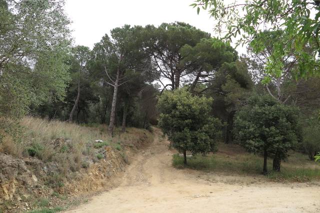 Terreno en Venta en CAN POI DEL BOSC en Can Violí  - Can Poi del Bosc