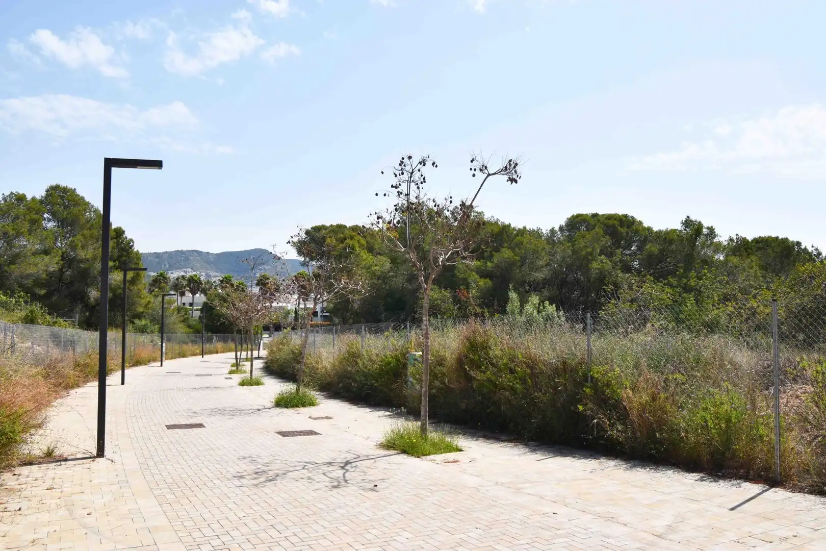 Terreny residencial en venda a La Plana, imagen 17