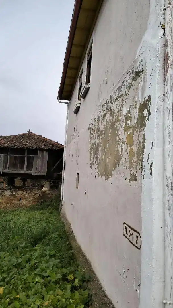 Vista exterior de Casa o chalet en venta en Allande
