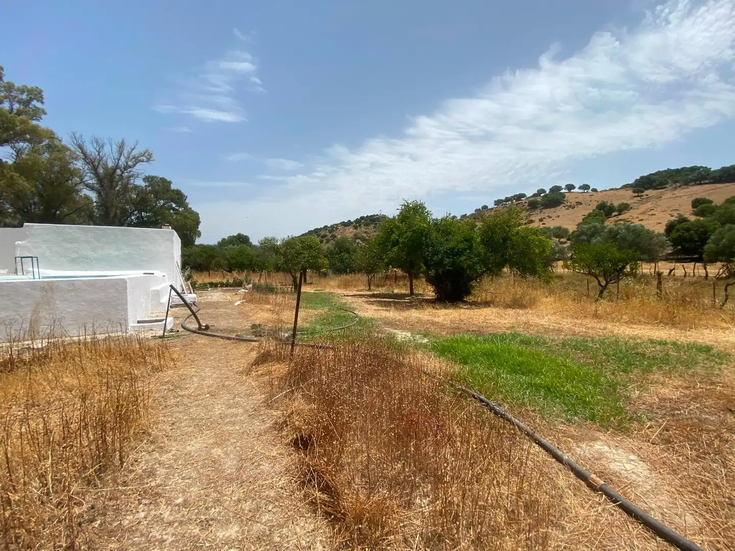 Terreni e lotti in vendita a Alcalá de los Gazules, imagen 36