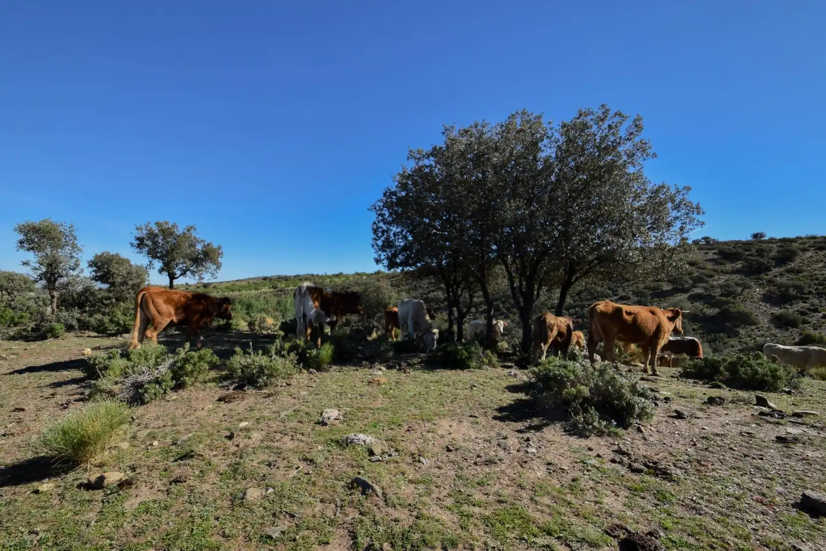 Terreno en venta en Paraje de las Perdices, Lugros