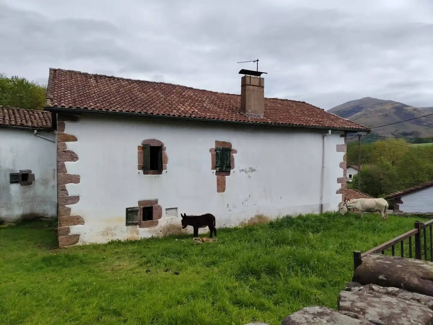 Vista exterior de Casa o chalet en venta en Baztan con Jardín privado