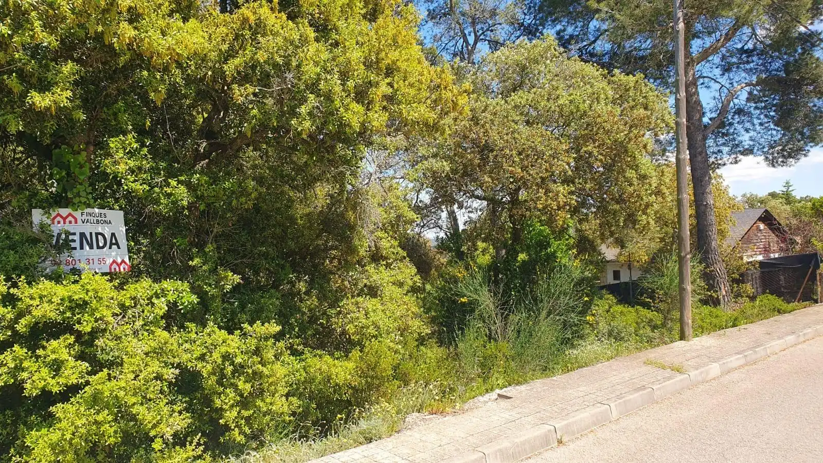 Terreny residencial en venda a Carrer Carrer de Domènech Roura 461, imagen 4