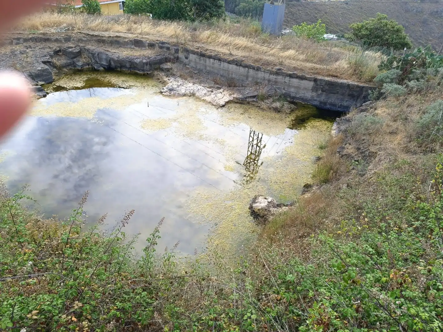 Swimming pool of Land for sale in Las Palmas de Gran Canaria