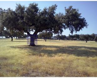 Finca rústica en venda en La Cumbre 