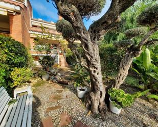 Jardí de Casa adosada en venda en El Masnou