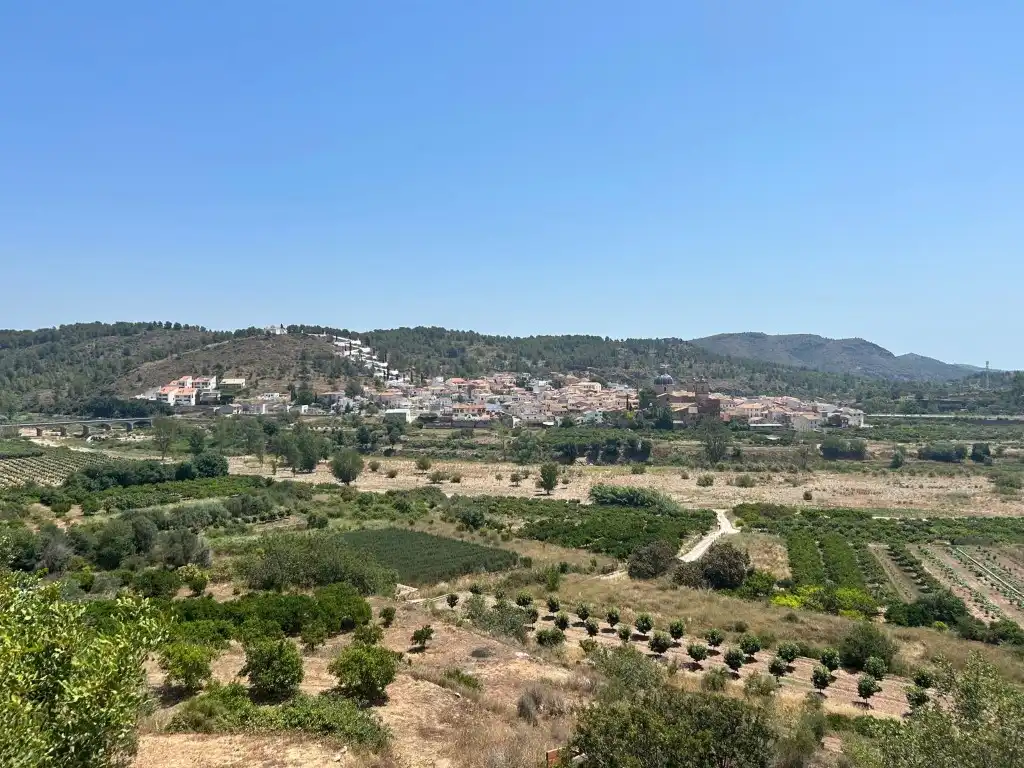 Finca rústica en venta en Sot de Ferrer